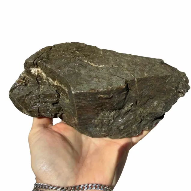 Frodo Stone 2 foto reale