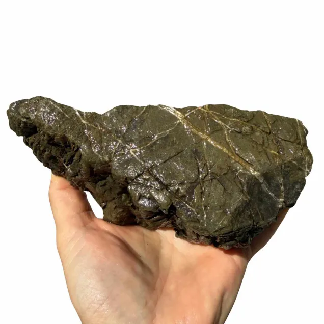 Frodo Stone 3 foto reale