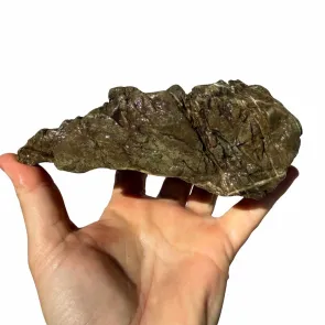 Frodo Stone 3 foto reale 2