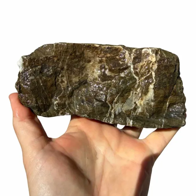 Frodo Stone 3 foto reale