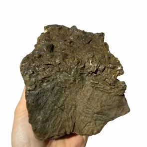 Frodo Stone 4 foto reale 2