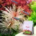 2Hr Aquarist APT Feast soil fertile per acquario piantumato aquascaping