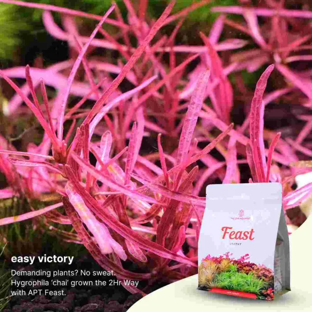 2Hr Aquarist APT Feast soil fertile per acquario piantumato aquascaping