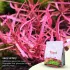 2Hr Aquarist APT Feast soil fertile per acquario piantumato aquascaping