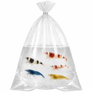 Busta per trasporto pesci PLT 15x45 cm in polietilene con fondo curvo confezione 10 pezzi 2