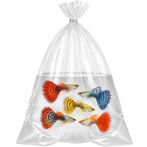 Busta per trasporto pesci PLT 15x45 cm in polietilene con fondo curvo confezione 10 pezzi