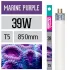 Arcadia Neon Marine Purple T5 39W 850mm luce per acquario marino favorisce la crescita dei coralli - FMPU39T5 Arcadia Neon Marine Purple T5 39W 850mm luce per acquario marino favorisce la crescita dei coralli - FMPU39T5