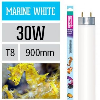 Arcadia Neon Marine White T8 30W luce per acquario marino simula ambiente di barriera - FMW30