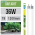 Arcadia Neon Classica Natural Daylight T8 36W luce brillante per piante d'acquario - FX36 Arcadia Neon Classica Natural Daylight T8 36W luce brillante per piante d'acquario - FX36