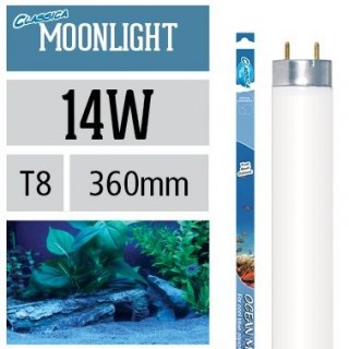 Arcadia Neon Classica Ocean Moonlight T8 14W luce lunare per acquario marino - FZ14