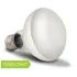Arcadia Lampada Basking Solar Floodlight 100W luce a infrarossi riscaldante per rettili e terrari - SBF100 Arcadia Lampada Basking Solar Floodlight 100W luce a infrarossi riscaldante per rettili e terrari - SBF100