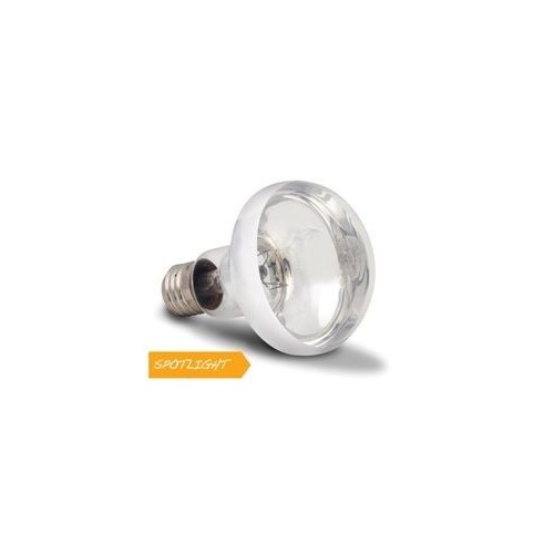 Arcadia Lampada Basking Solar Spotlight 100W luce a infrarossi riscaldante per rettili e terrari - SBS100
