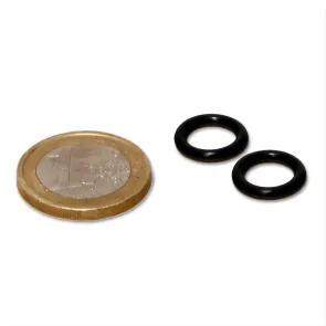 JBL Guarnizione raccordo IN-OUT per filtro CristalProfi 120-250