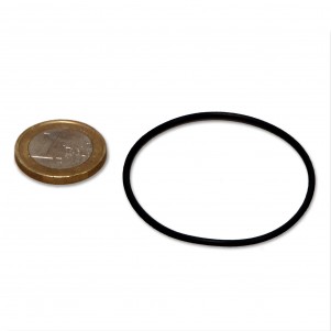 JBL Guarnizione coperchio girante filtro CristalProfi 120/250