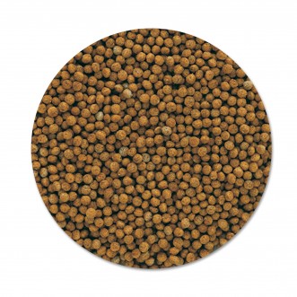 Tetra Goldfish Granules Mangime in granuli per pesci rossi 250 ml stimola benessere e vitalità
