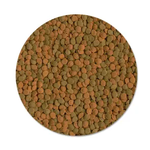 Tetra Wafer Mini Mix 100 ml Mangime per piccoli pesci e gamberetti da fondo 2