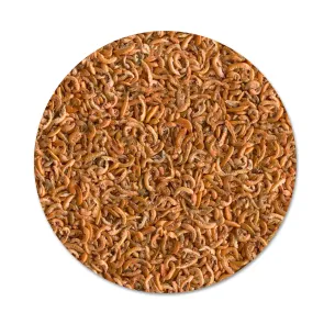 Tetra Gammarus 1 lt Mangime naturale per tartarughe acquatiche ricco di minerali 2