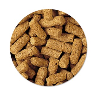 Tetra Pond Wheatgerm Sticks 1 Lt Mangime in stick per temperature basse per pesci da laghetto carpe da giardino e pesci rossi