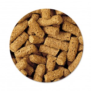 Tetra Pond Wheatgerm Sticks 1 Lt Mangime in stick per temperature basse per pesci da laghetto carpe da giardino e pesci rossi