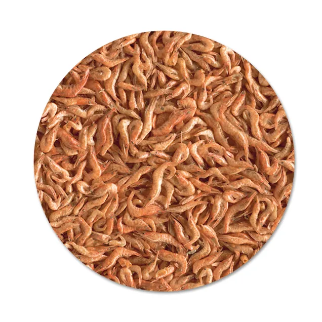 Tetra ReptoDelica Shrimps 1 Lt Mangime gamberi interi per tartarughe d'acqua