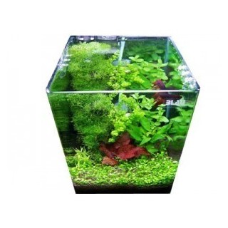 Blau Aquaristic CUBIC Aquariums 30x30x35cm 32lt acquario in vetro