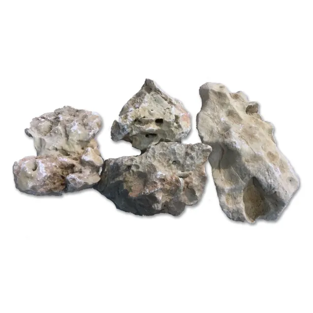 Roccia decorativa calcarea ideale per ricreare l'habitat ideale per i Ciclidi.