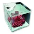 Newa More 50 Bianco Acquario Completo di Illuminazione a Led 45Lt