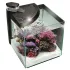 Newa More 50 Reef Marino Nero Acquario Completo di Illuminazione a Led e Skimmer 45Lt