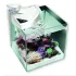 Newa More 50 Reef Marino Bianco Acquario Completo di Illuminazione a Led e Skimmer 45Lt