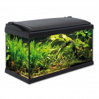 MTB Acquari Milo 79 Acquario accessoriato 108 L Nero fronte
