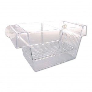 Sala Parto Nido 3 in 1 per avanotti con divisori coperchio e ventose