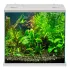 MTB Acquari Cleo Plus Acquario accessoriato 22.5 L Bianco con filtro sabbia e mangime per pesci