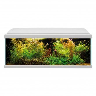 MTB Acquari Milo 100 Acquario accessoriato 117 L Bianco