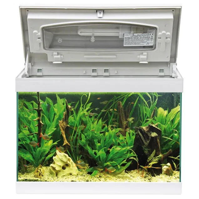 MTB Acquari Milo 43 Acquario accessoriato 23 L Bianco lampada