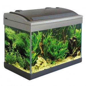 MTB Acquari Milo 43 Acquario accessoriato 23 L Grigio