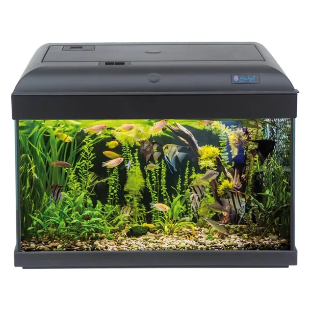 MTB Acquari Birby 1 Acquario accessoriato 48 L Nero