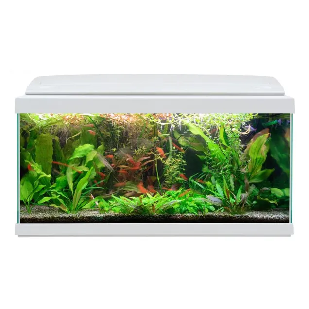 MTB Acquari Milo 80 LED 9 w Acquario accessoriato 93 L Bianco