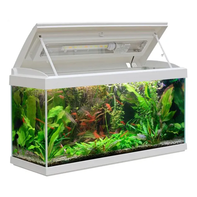 MTB Acquari Milo 80 LED 9 w Acquario accessoriato 93 L Bianco