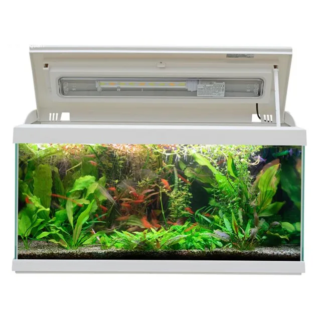 MTB Acquari Milo 80 LED 9 w Acquario accessoriato 93 L Bianco illuminazione