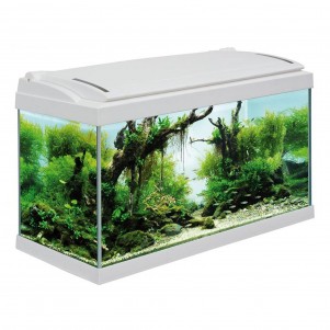 MTB Acquari Milo 79 Acquario accessoriato 108 L Bianco vuoto fronte