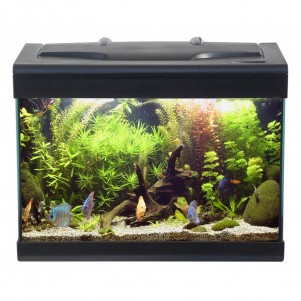 MTB Acquari Aloha 40 LED 4 w Acquario accessoriato 23L Nero frontale