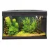 MTB Acquari Aloha 60 LED 6 w Acquario accessoriato 57L Nero fronte