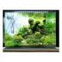 Dennerle Nano scaper tank basic acquario da 55 litri esempio allestimento