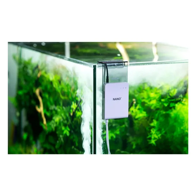 Twinstar Nano plus 2 antialghe supporto optional