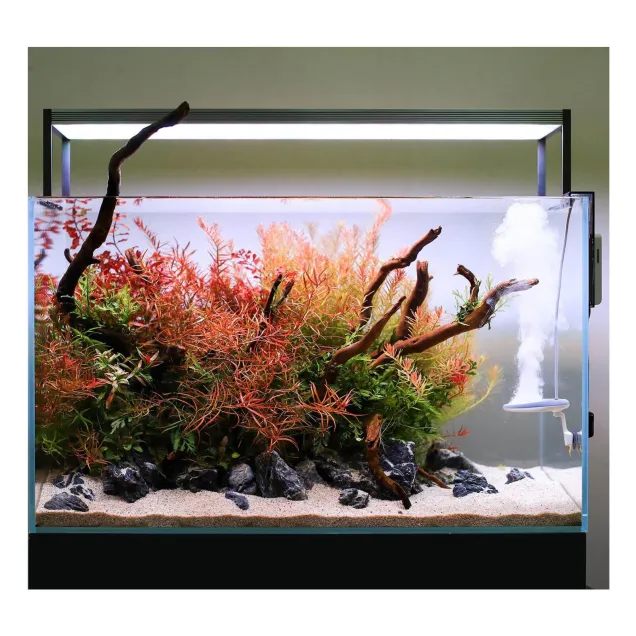 Twinstar Yotta plus 2 sterilizzatore d'acquario