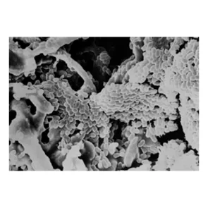 Seachem Matrix materiale biofiltrante 2