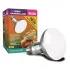 Arcadia Lampada Reptile D3 UV Basking 100W luce a mercurio riscaldante per rettili e terrari Arcadia Lampada Reptile D3 UV Basking 100W luce a mercurio riscaldante per rettili e terrari