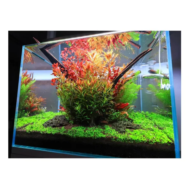 Twinstar 600SP plafoniera a LED