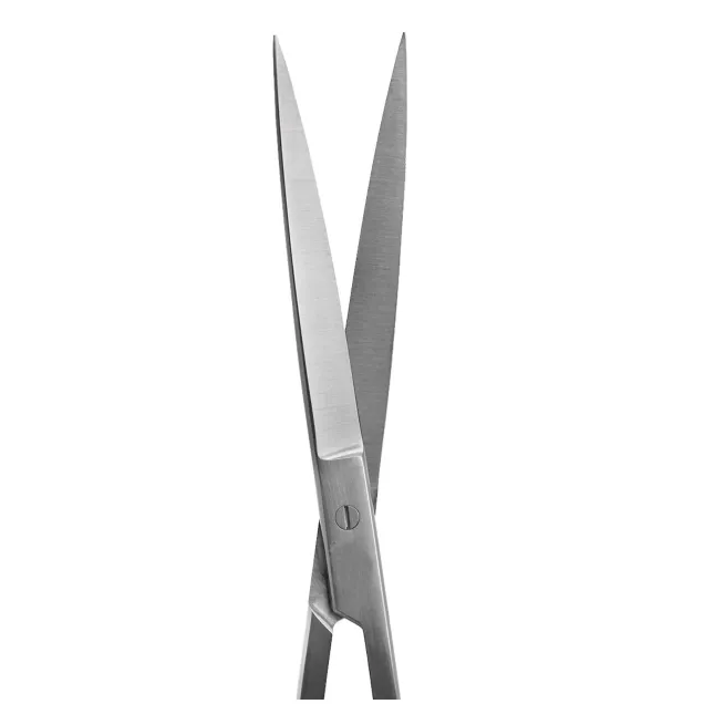 Forbice punta dritta in acciaio da 25 cm