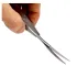 Forbice curved spring taglio orizzontale in acciaio da 16 cm